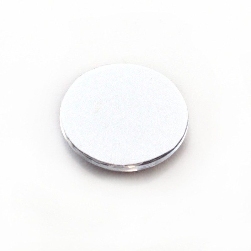 Brown Griffon Bird Glass Eyes Realistic Foul Animal Pair for