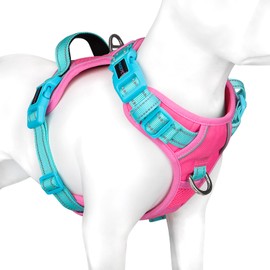 PHOEPET Anti-Pull Dog Harness, Reflective Adjustable Puppy Safety Harness for Small, Medium and Large Dogs (S, Pink Base & Green Straps)