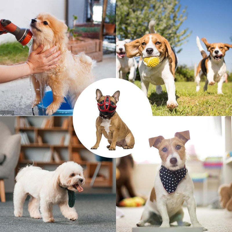 French Bulldog Muzzle, Muzzle for french bulldog, Frenchie Muzzle, Short