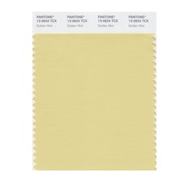 PANTONE Smart 13-0624X Color Swatch Card, Golden Mist