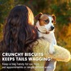 MON2SUN Dog Treats, Mini Chicken Wrapped Biscuits with Added Vitamins,