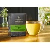 Taylors of Harrogate Green Tea with Mint, 20 Teabags (Pack