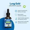 Pet Wellbeing Lung Gold for Cats - Lung Immune Support,