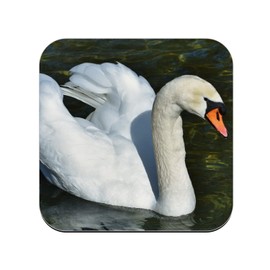 Cork Coaster - Swans Swimming on a Lake Wildlife - 1 Piece (95x95mm)