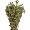 Certified Organic Greek Dried Mountain Oregano Bunch 85g - 1.95kg