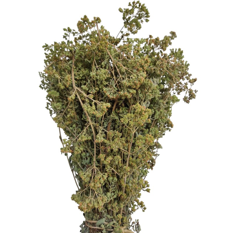 Certified Organic Greek Dried Mountain Oregano Bunch 85g - 1.95kg