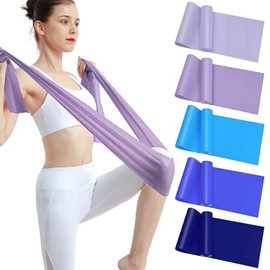 Eynshoo Bandas de Resistencia Deportivas, Paquete de 5 Bandas Elásticas de Fitness de TPE para Entrenamiento de Fuerza, Yoga, Pilates, Glúteos y Fitne