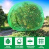 Fanfanwin 2 Packs 10 x 10 ft Large Fruit Tree