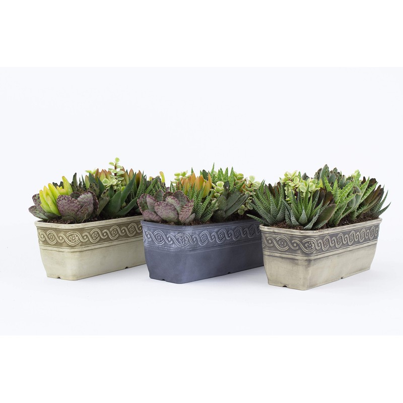 Classic Home and Garden 9410-060-CP3 Corinthian Trough Planter, 10", Cast