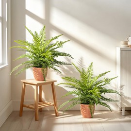 2 Pack Artificial Fern Plants in Pots, Type 8