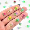 HOMICO 200 Pieces Tiny Rose Decor for Dollhouse Mini Resin