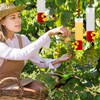 10 Pack Small Hummingbird Feeder for Outdoors Mini Hummingbird Feeders