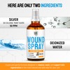 Cat Wound Care Spray with Silver – Wounds, Rashes, Hot