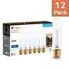Xtricity 25 Watt T10 Clear Tubular Incandescent Light Bulb, Showcase