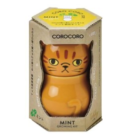 Seishin Pottery CoroCoro Cat Brown/Mint Size: Approx. W2.4 x D2.2 x H10.0 inches (6.3 x 5.5 x 10 mm) GD-102601