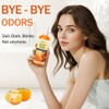Persimmon Body Wash for Old People Smell, Natural Deodorant Bar