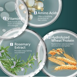 SH-RD Nutra-Therapy Shampoo for Dry Damaged Hair | Protein Shampoo Reduces Split Ends | Moisturizes Frizzy Hair | Suitable for Color-Treated, Bleached Hair - 3.38oz/100ml