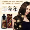 Chestnut Brown Hair Dye Shampoo 3 in 1, Shampoo para