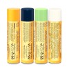 Burt's Bees Burt’s Beeswax Bounty Assorted Mix Lip Balm Holiday