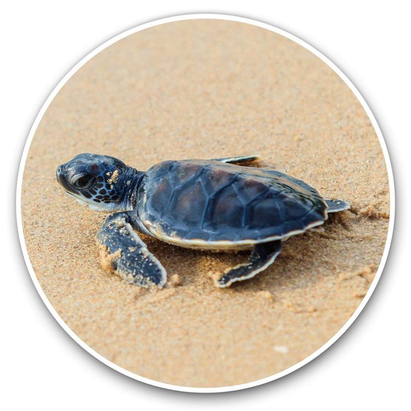 2 x 30cmVinyl Stickers - Small Baby Green Sea Turtle