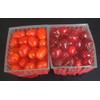 100 pcs mesh Netting for Berry Baskets Farmers Market Produce