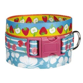 Fruit Frenzy Collar Size: 0.13" H x 10" - 16" W x 0.63" D, Color: Hibiscus