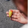 Rapala Rippin' Rap 05 Fishing lure, 2-Inch, Chrome