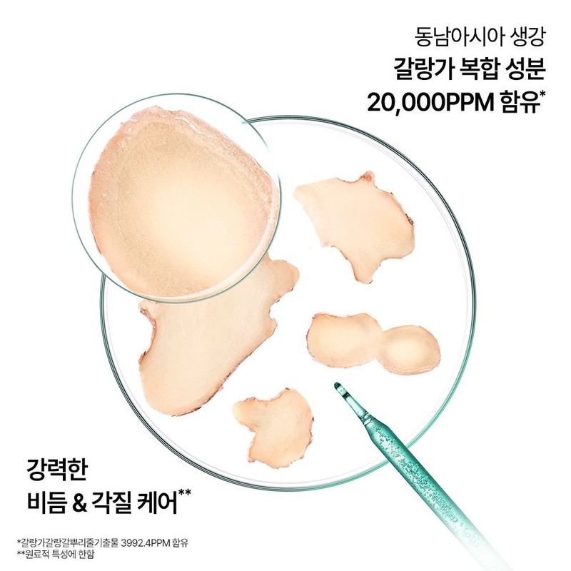 클로란 [지루성두피&가려움케어] 갈랑가 진저 비듬 샴푸 400ml x 2개 +