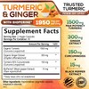 Turmeric Curcumin Supplement 1950mg with Organic Turmeric & Ginger, 95%