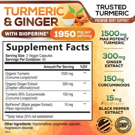 Turmeric Curcumin Supplement 1950mg with Organic Turmeric & Ginger, 95% Curcuminoids, BioPerine Black Pepper for Best Absorption, Nature's Vegan Joint Support, Non-GMO, Bottled in USA - 120 Capsules