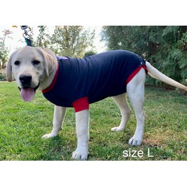 Dog Surgical Body / Wound Protection Suit for Dogs / Medical Pet Shirt / Recovery Suit (XL, Blue)