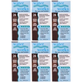 Waterworks Water Works Permanent Powder Hair Color #24 Natural Medium Brown (6 Pack)