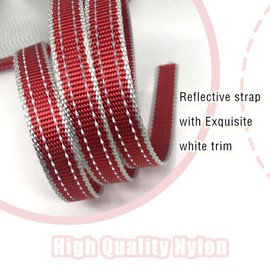 OHVEECA Dog Head Collar with Leash for Walking, No Pull Head Halter for Dogs, Easy Lead Reflective Dog Face Harness with Soft Padding, Adjustable(S, Red)