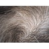 Pharma Läuse-Shampoo, Behandlung gegen Läuse & Langsamkeit. 100 % auf