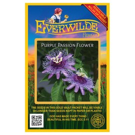 Everwilde Farms - 5 Purple Passion Flower Native Wildflower Seeds - Gold Vault Jumbo Seed Packet