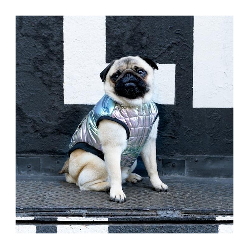 Canada Pooch Iridescent Shiny Puffer Vest for Dogs, 3X-Small