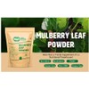 Mulberry Leaf Powder - Mulberry Leaf Extract - All-Natural Raw
