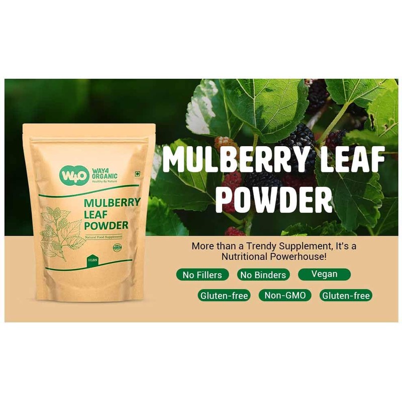 Mulberry Leaf Powder - Mulberry Leaf Extract - All-Natural Raw