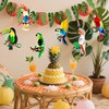 Tropical Birds Honeycomb Paper Cutouts Hawaiian Luau Party Decorations Parrot