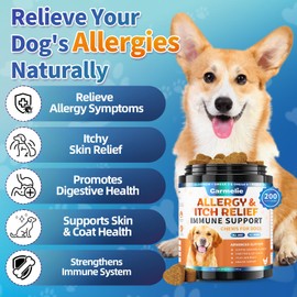 Carmelie Carmelie Dog Allergy Chews + Carmelie 24 in 1 Dog Multivitamin Chewable - 400 Treats - Seasonal Allergy Relief + Dog Vitamins for Hip & Joint, Skin & Coat, Immune Health (Chicken Flavor)