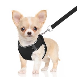 Doggiekit Dog Harness Small Dogs with Lead, Adjustable Reflective Step in Puppy Harness Lead, Breathable Mesh Dog Harness, Soft Padded Vest for Extra Small/Medium Dogs