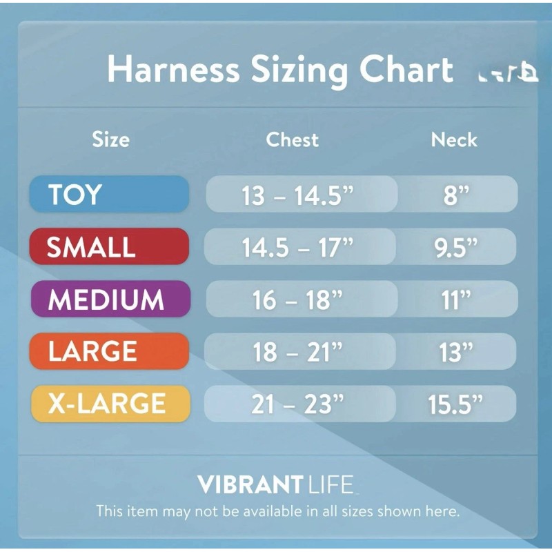 Vibrant Life Mesh Adjustable, Reflective Dog Harness, Black, Medium Paw