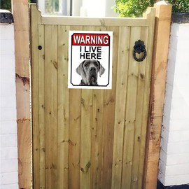 WARNING I LIVE HERE METAL GATE SIGN GREAT DANE THEME 200MM X 150MM (1337H1)