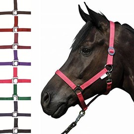 HKM Stars Economy 558545 Headcollar