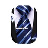 Barry.Wang Men's Silk Business Ties with Handkerchief Cufflink Stripes Plaid