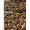 Freeze Dried Dubai Chocolate Covered Strawberries