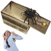 agogue Spider Joke Item in the Box Spider for Children
