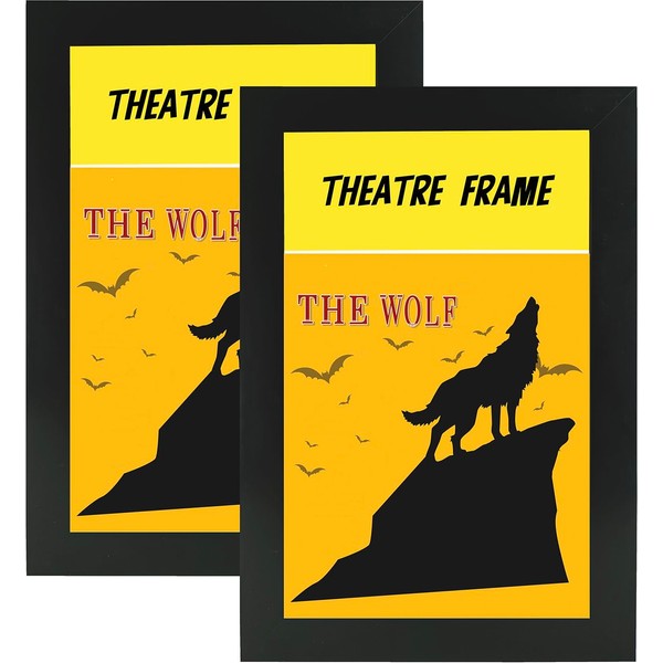 2 Pack Theatre bill Frame with Real Glass,Black Theatre Frame,Holds