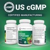 Dr. Berg's Greens Superfood Cruciferous Vegetable Tablets - Vegetable Supplements