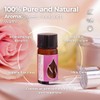 Essences Bulgaria Organic Rose Essential Oil 1/6 Fl Oz |